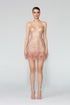Strappy V Neck Mini Dress With Fur Detail